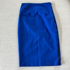Sexy Express Pencil Skirt